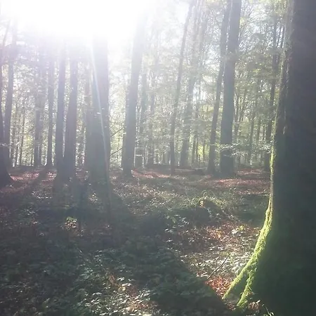 Zum Sonnenschein *