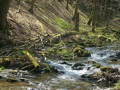 شقة Zum Sonnenschein *